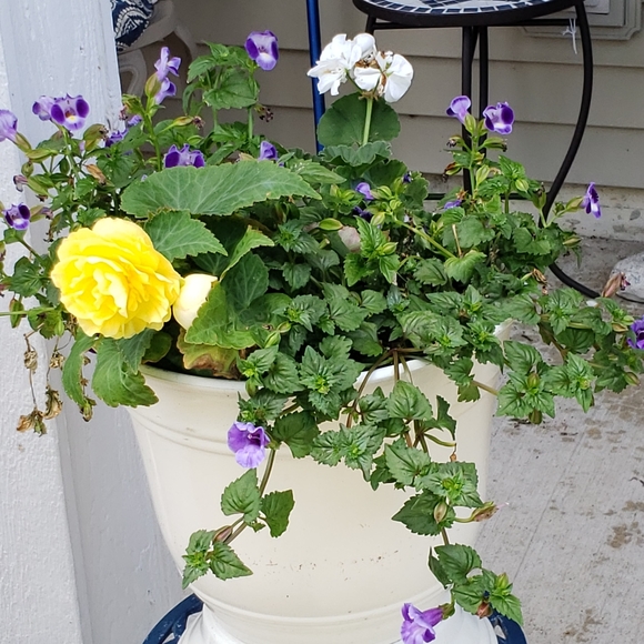 Meet your Posher, Mary - Picture 14 of 16